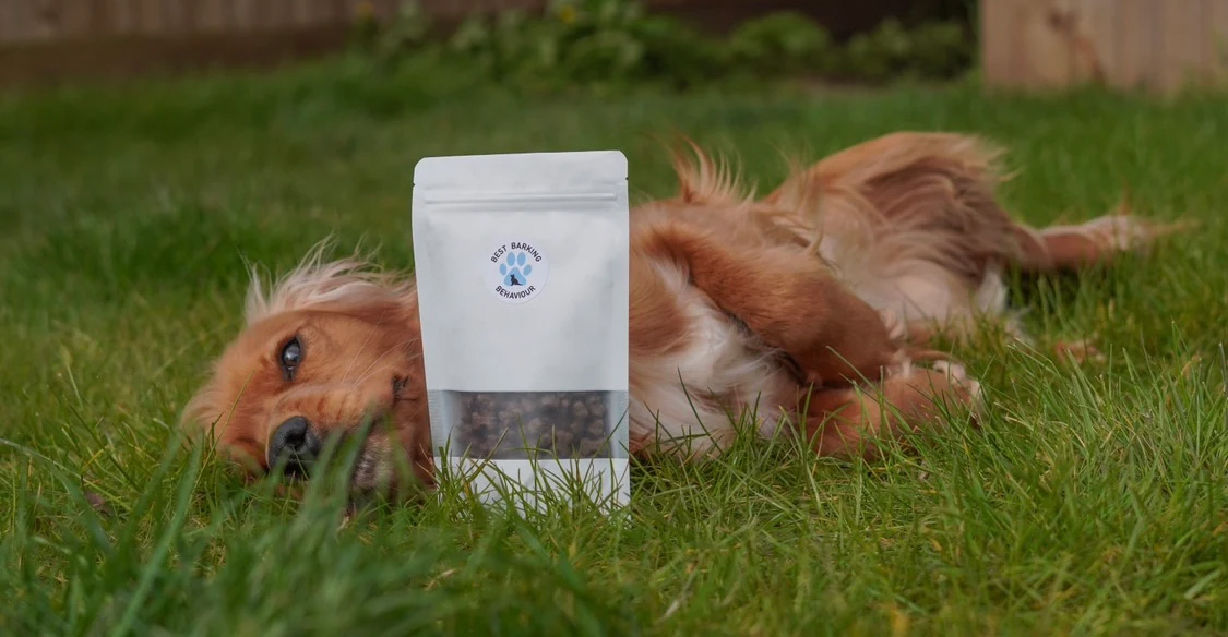 Picture of a dog lying in grass next to a bag of chews