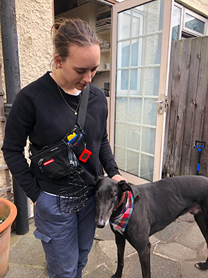 Me and Albert the rescue greyhound. He was rescued from All Dogs Matter by my friend Neil.