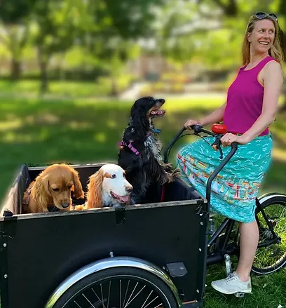 Photo of Lydia riding a bike with a large box on the front with three dogs inside.