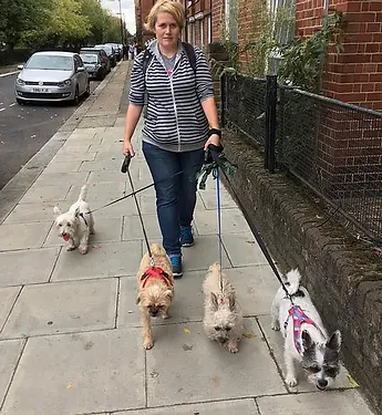 Photo of Anthea walking four dogs in an urban area.